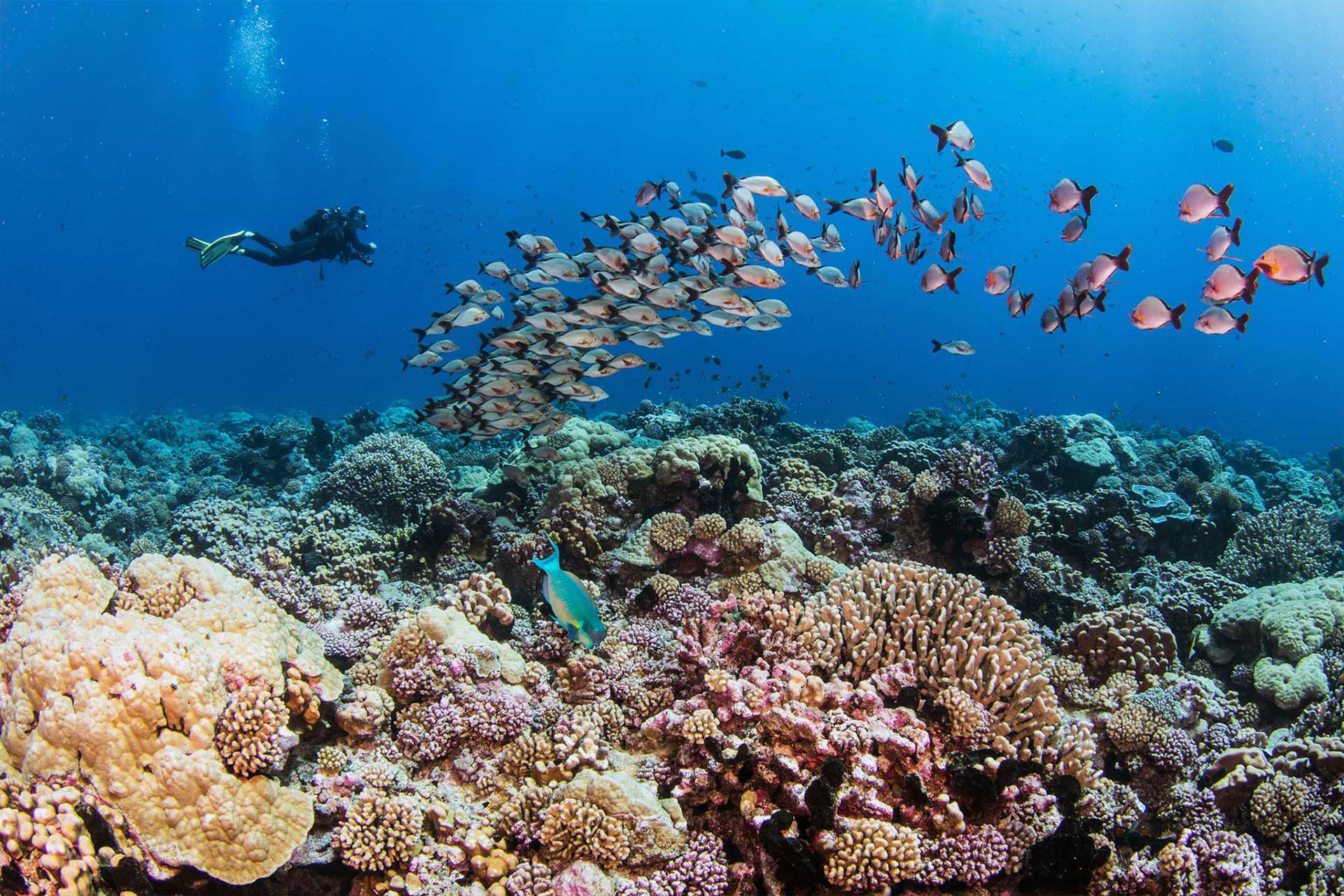 Passe Nord - int&eacute;rieur