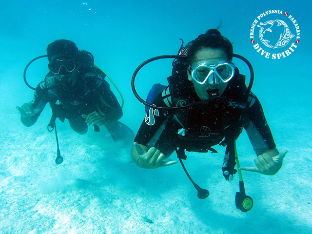 Plong&eacute;es Priv&eacute;s