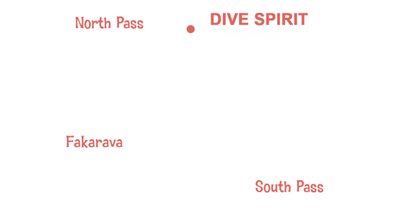 DSF map